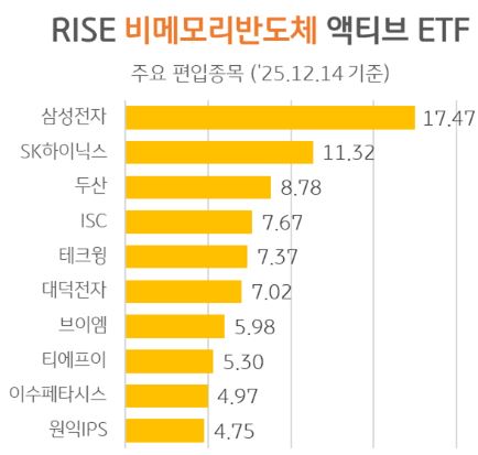 RISE 비메모리반도체 액티브 ETF